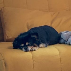 Meet your Posher, Caitlin